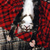 Nine (Cat of Simon)